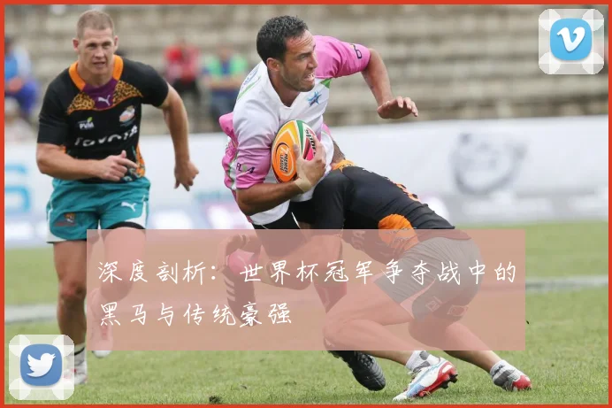 深度剖析：世界杯冠军争夺战中的黑马与传统豪强