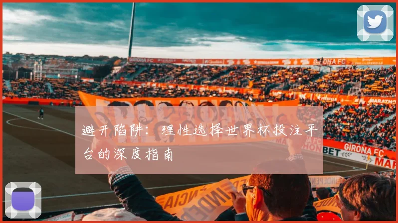 避开陷阱:理性选择世界杯投注平台的深度指南