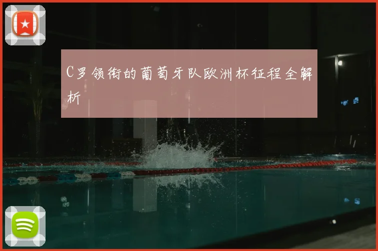 C罗领衔的葡萄牙队欧洲杯征程全解析