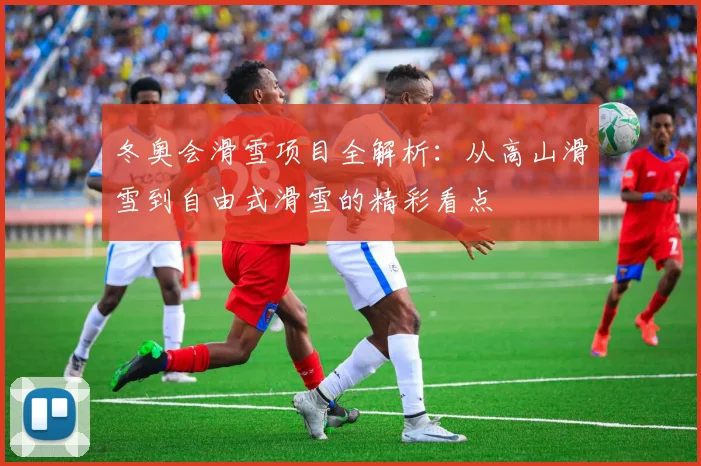 冬奥会滑雪项目全解析:从高山滑雪到自由式滑雪的精彩看点